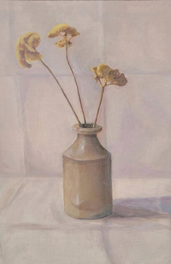 Still Life Achillea
